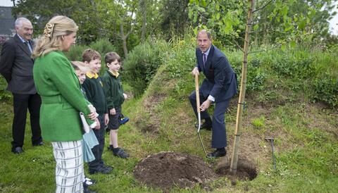 Planting of the tree